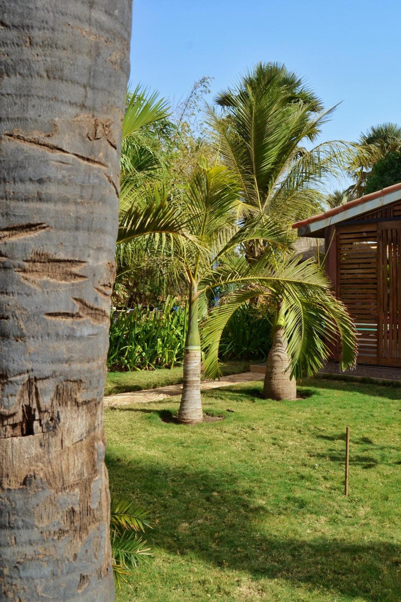 Keur Palmier Saly Hotell Exteriör bild